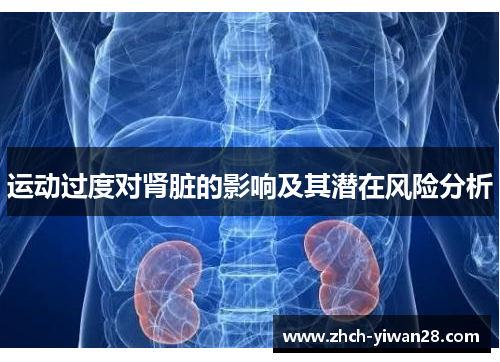 运动过度对肾脏的影响及其潜在风险分析